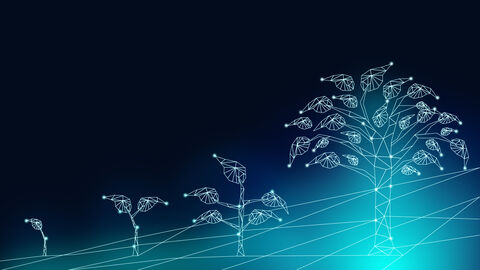 Wachstumsstadien digitaler Baum