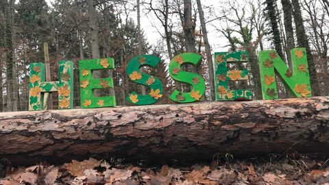 Hessen-Buchstaben der Waldkita Biebertal