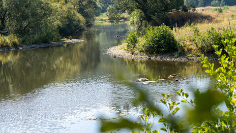 Umwelt, Klimaschutz, Landwirtschaft und Verbraucherschutz