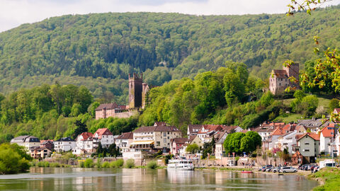 Panorama von Neckarsteinach im Odenwald in Hessen